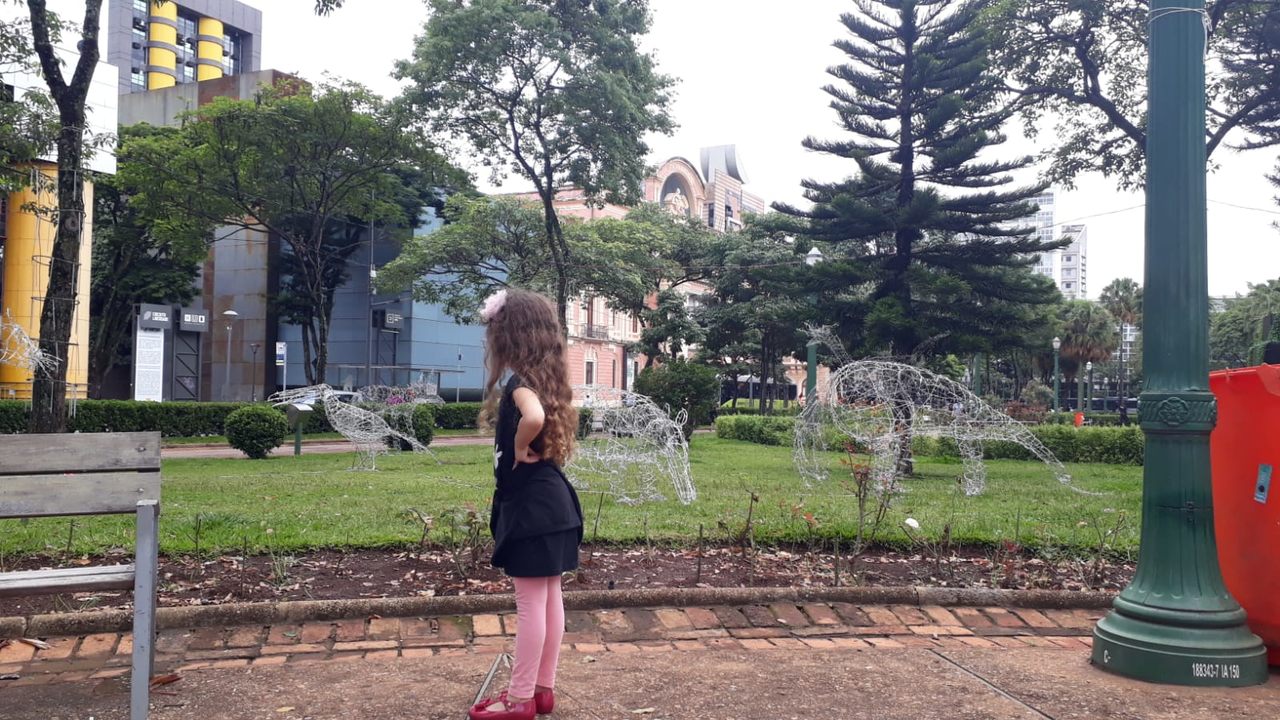 Belo Horizonte - Natal na Praça da Liberdade na Pandemia