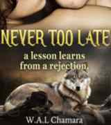 Read Novel Never Too Late: a Lesson Learns From a Rejection by Cham Full Episode