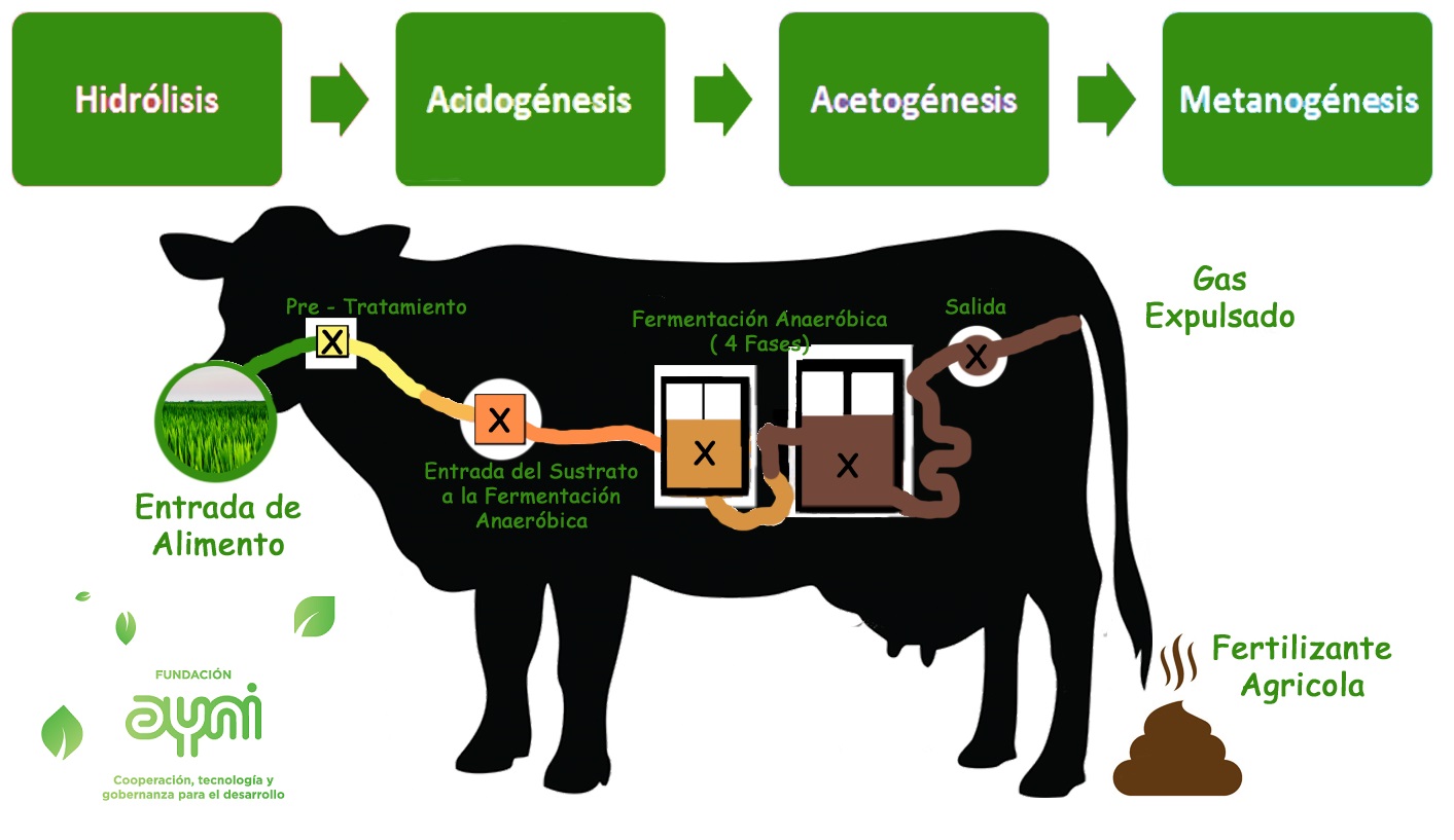 Biogas fuente alternativa de energia