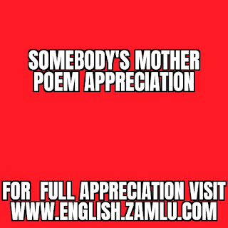 Somebody's mother poem appreciation