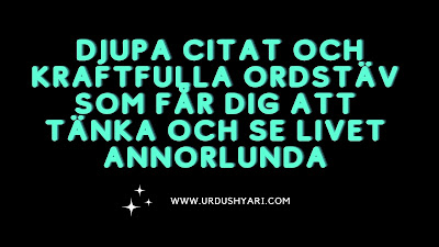  Djupa citat och kraftfulla ordstäv som får dig att tänka och se livet annorlunda 2024