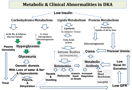 metabolic and clinical abnormalities in DKA