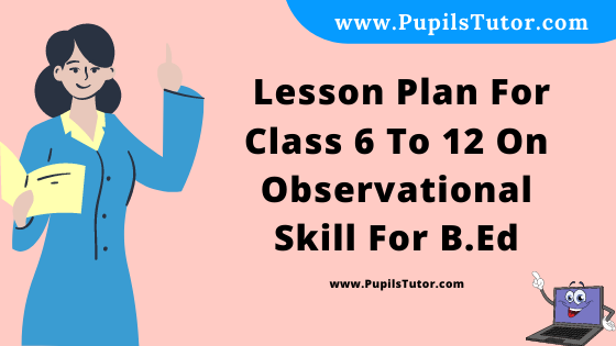 Free Download PDF Of  Lesson Plan For Class 6 To 12 On Observational Skill Topic For B.Ed 1st 2nd Year/Sem, DELED, BTC, M.Ed On Observation Teaching Skill In English. - www.pupilstutor.com