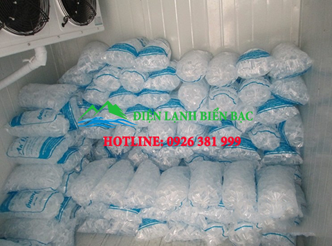 Những lợi ích của kho lạnh bảo quản đá viên 
