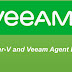 Hyper-V and Veeam Agent Backup