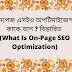 অনপেজ এসইও অপটিমাইজেশন কাকে বলে ? বিস্তারিত (What Is On-Page SEO Optimization)