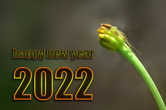 Happy New Year 2022 Wishes, SMS, Quotes, Blessings, Status, New Year 2022