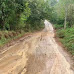 Agricultores demandan la construcción de 14 kilómetros de carretera en El Corozo de Peralvillo
