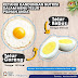 Kandungan Nutrisi Telur Ayam