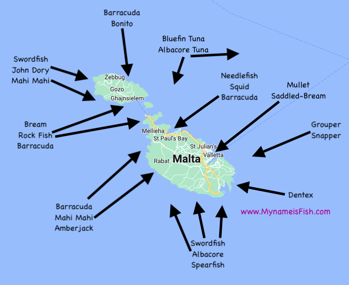 Malta Fishing Locations Map