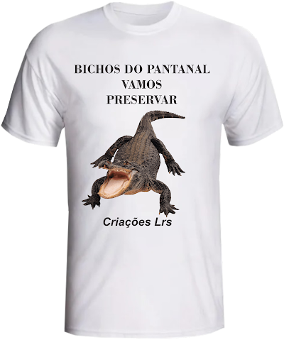 LANÇAMENTO PANTANAL BR 01