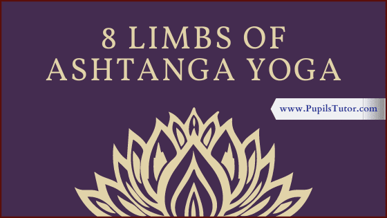 What Do The 8 Limbs Of Ashtanga Yoga Mean? | Types Of Yoga | Explain In Detail 8 Limbs Of Ashtanga Yoga - Yama, Niyama, Asana, Pranayama, Pratyahara, Dharana, Dhyana, Samadhi - www.pupilstutor.com