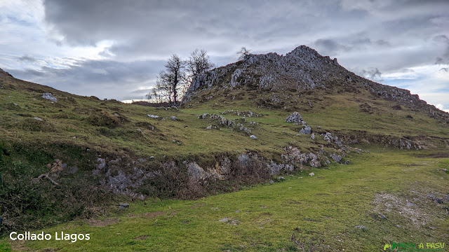 Collado Llagos, Peñamayor