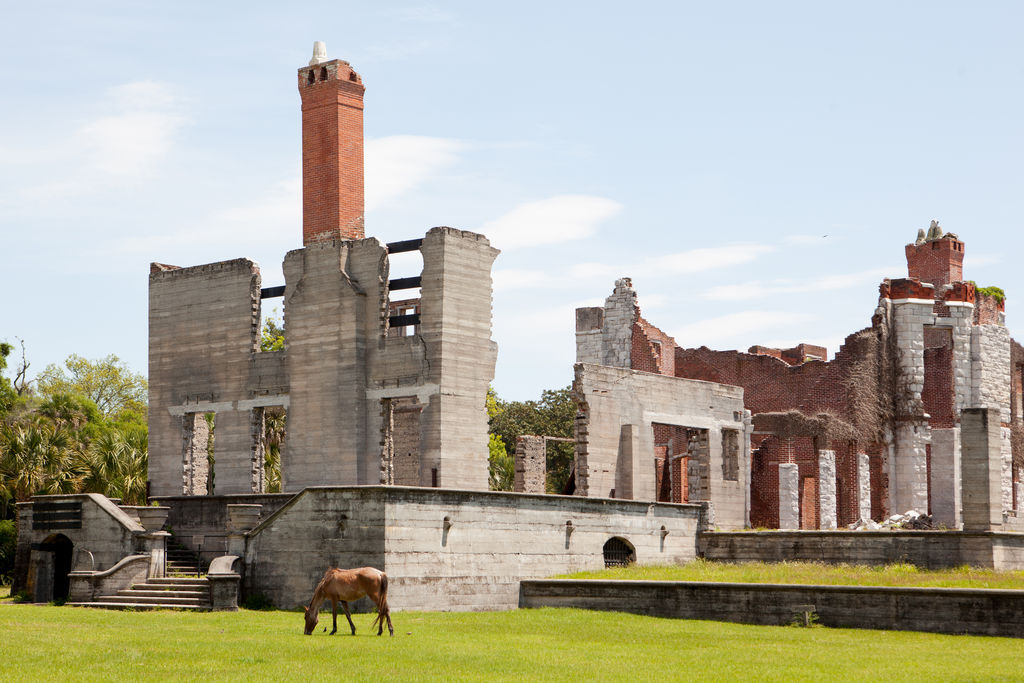 Cumberland Island National Seashore Cumberland Island National Seashore
