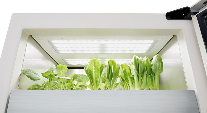 LG Tiiun For Indoor Farming and Gardening