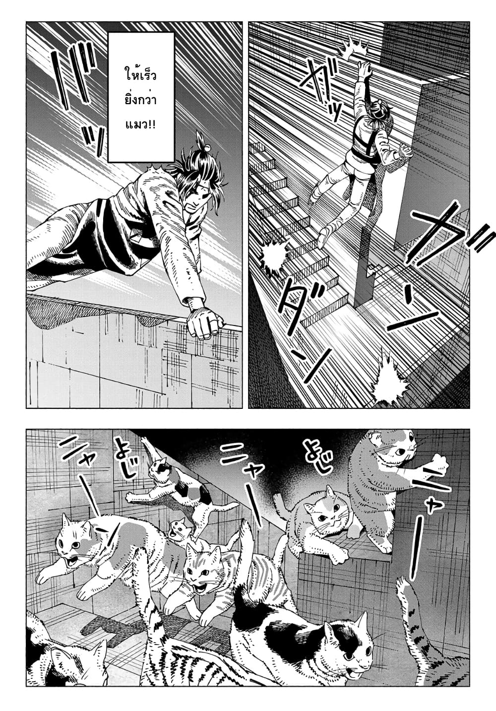 Nyaight of the Living Cat - หน้า 15