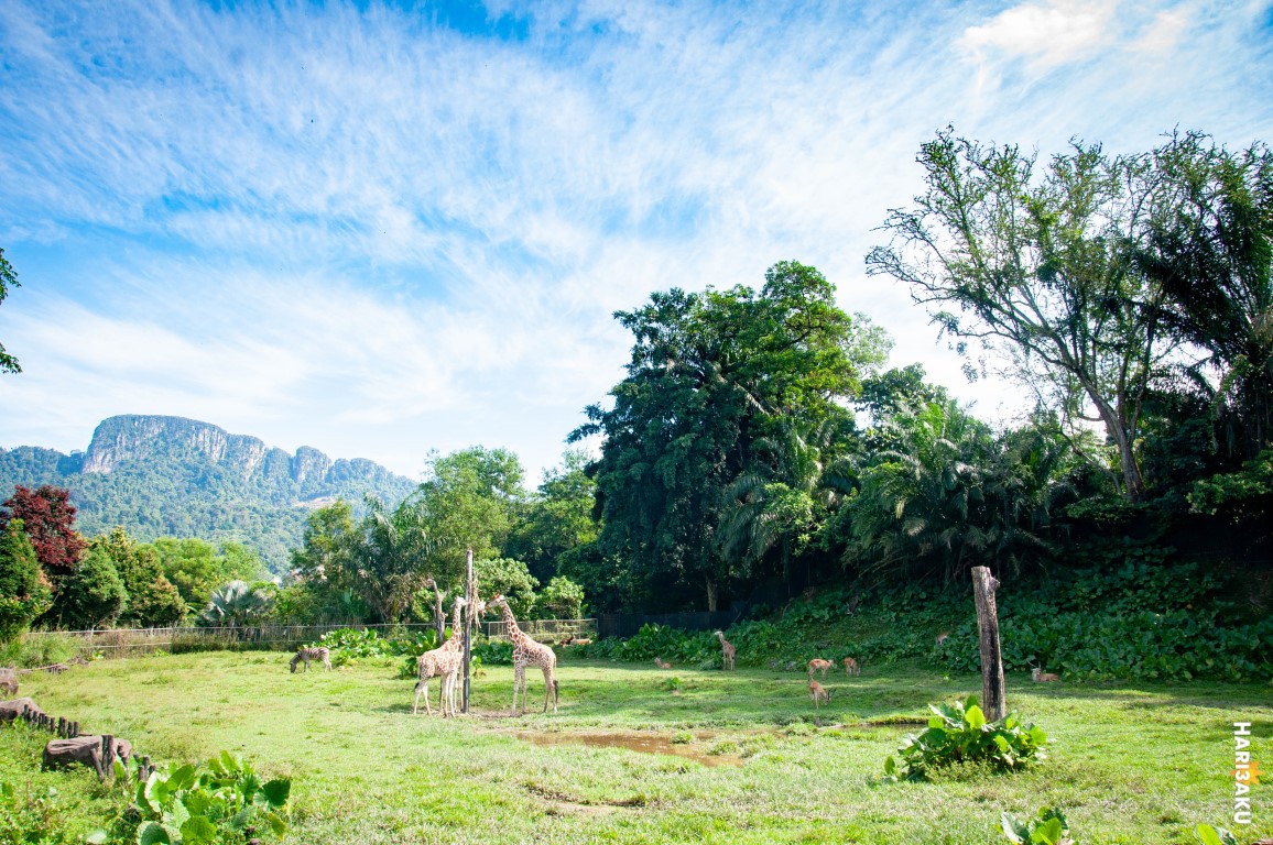 Savannah Walk di Zoo Negara