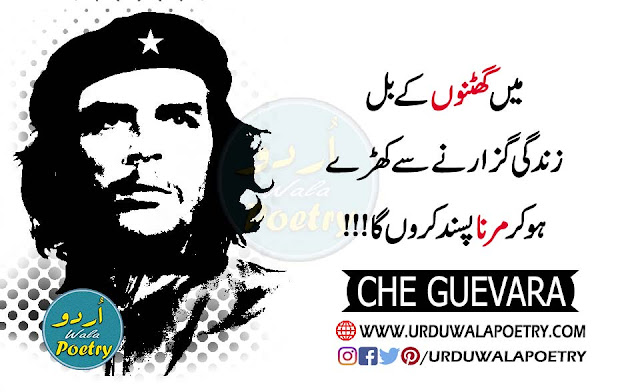 che-guevara-quotes-about-life-&-death-in-urdu