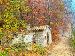 EL MONTSENY EN OTOÑO