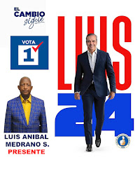 VOTA 1 LUIS 2428 MEDRANO PRESENTE