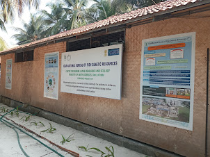 Agatti Fish research aquaculture building.