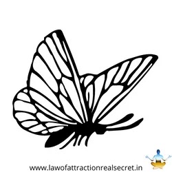 butterfly tattoo, butterfly tattoo designs, simple butterfly tattoo, small butterfly tattoo, butterfly tattoo on hand, hand butterfly tattoo, butterfly tattoo meaning, meaning of butterfly tattoo, small butterfly tattoo designs, butterfly tattoo image, blue butterfly tattoo, 3d butterfly tattoo, butterfly tattoo on wrist, butterfly tattoo on hand for girl, wrist butterfly tattoo designs, butterfly tattoo mehndi design, butterfly tattoo design, back butterfly tattoo designs, butterfly tattoo on back, butterfly tattoo on men, wrist butterfly tattoo, mens butterfly tattoo, butterfly tattoo on ankle, butterfly tattoo images, shoulder butterfly tattoo, butterfly tattoo small, leg butterfly tattoo, unique butterfly tattoo, back butterfly tattoo, butterfly tattoo drawing, butterfly tattoo on neck, flower with butterfly tattoo, harry styles butterfly tattoo, simple small butterfly tattoo, butterfly tattoo simple,