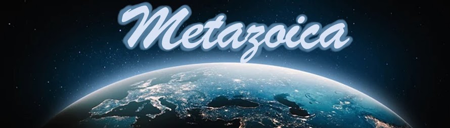 Metazoica back-up
