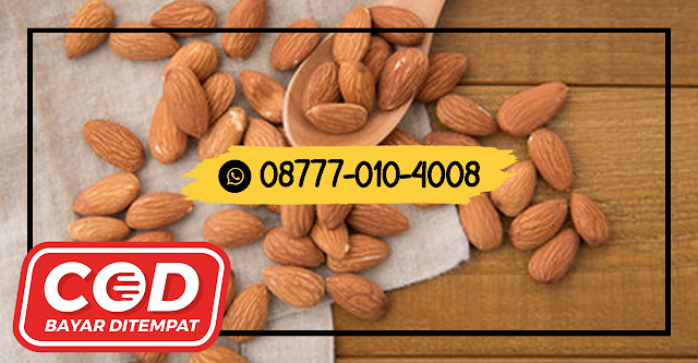 08777 010 4008 HARGA KACANG ALMOND DI BALIBungo