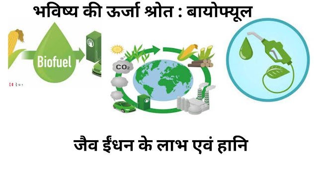 biofuel in hindi