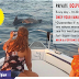 PRIVATE OR SHARED SUNSET DOLPHIN TOUR ▼