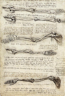 Leonardo da Vinci'nin koldaki kasların hareketini gösteren anatomik çalışması (1510 dolaylarında)