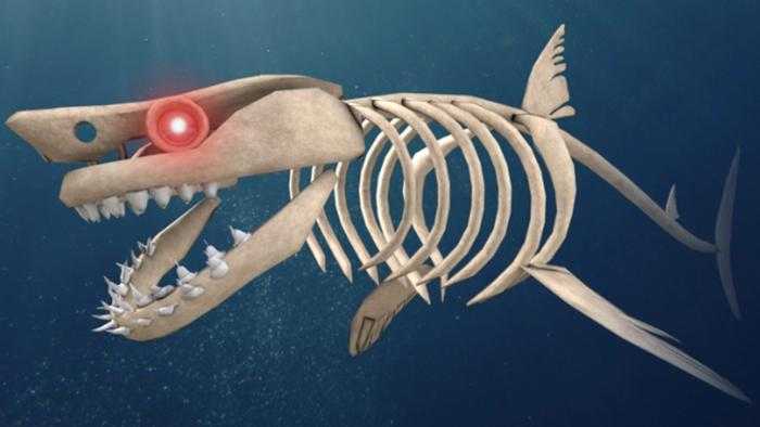 Dientes de tiburón gratis
