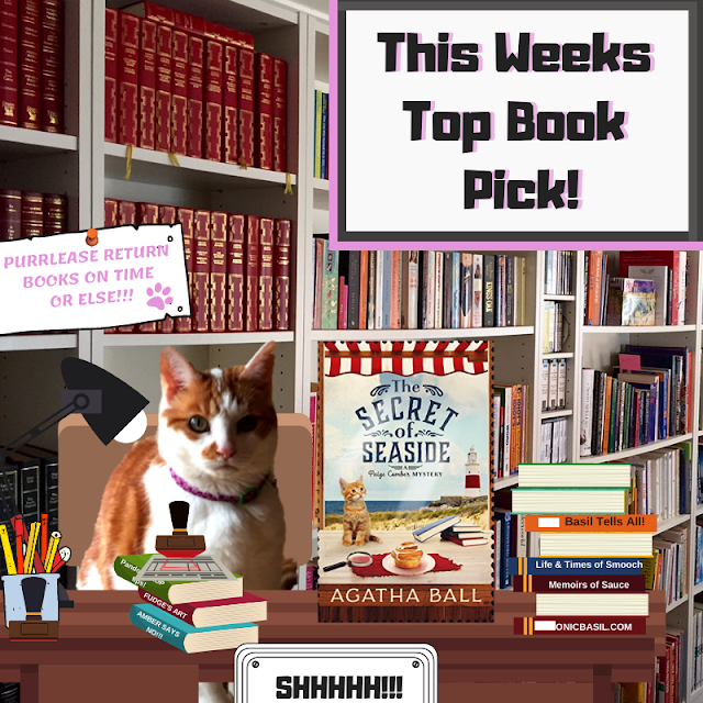 Amber's Book Reviews #189 - What Are We Reading This Week ©BionicBasil® The Secret of The Seaside