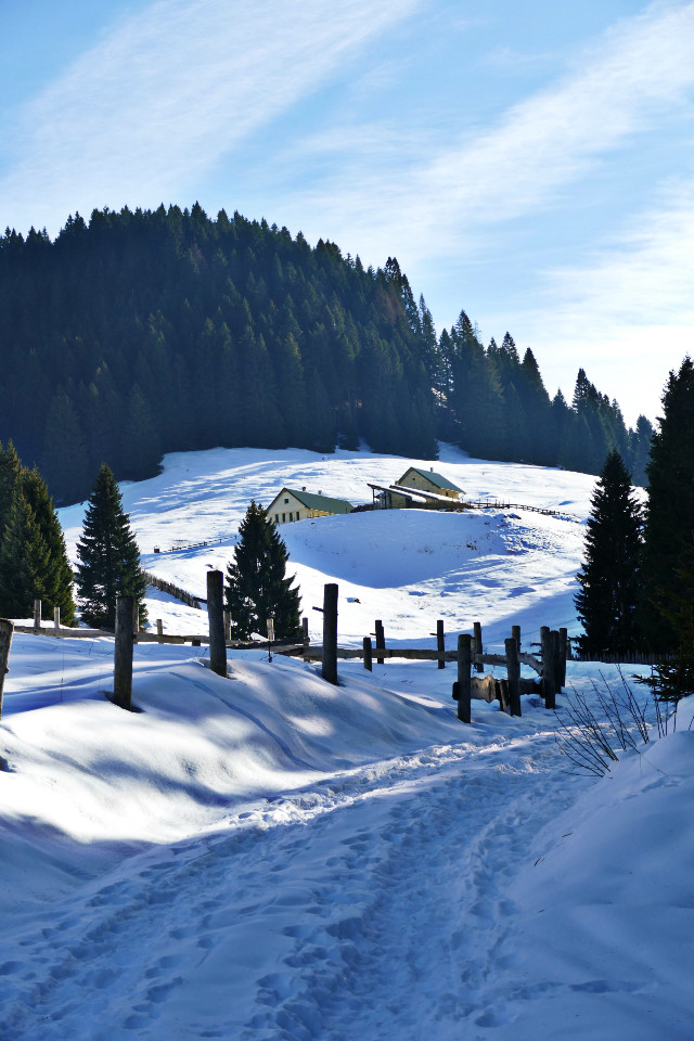 escursione neve inverno ciaspole vallorsara