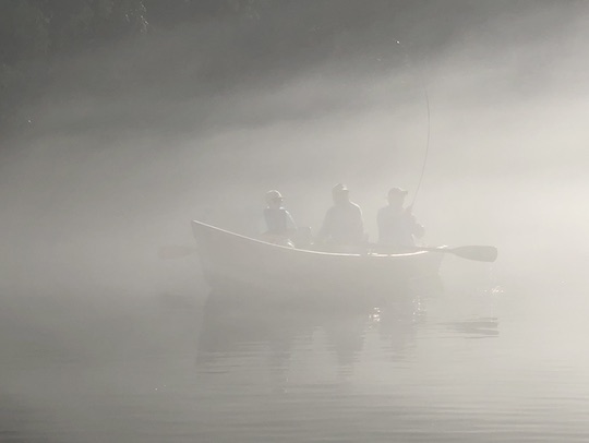 Photo of the Month: Through the Fog