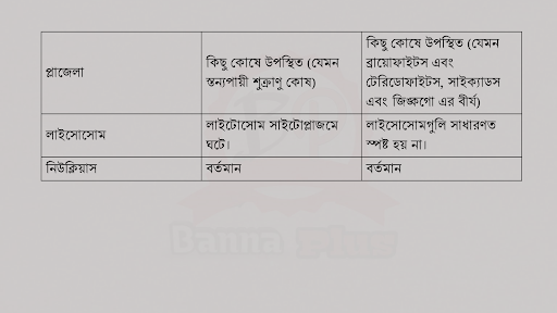 মাধ্যমিক ৬ষ্ঠ শ্রেণির বিজ্ঞান ১২শ সপ্তাহের অ্যাসাইনমেন্টের সমাধান ২০২১, পোস্টার পেপারে/ক্যালেন্ডারের উল্টো পাতায়/আর্টপেপারে উদ্ভিদকোষ ও প্রাণিকোষের চিহ্নিত চিত্র আক। এদের সাদৃশ্য ও বৈশাদৃশ্য উল্লেখ কর  https://www.banglanewsexpress.com/