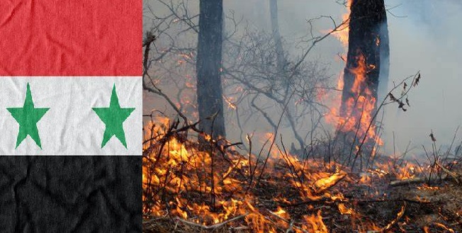 24 people have been sentenced to death penalty for deliberately spreading wildfires in Syria