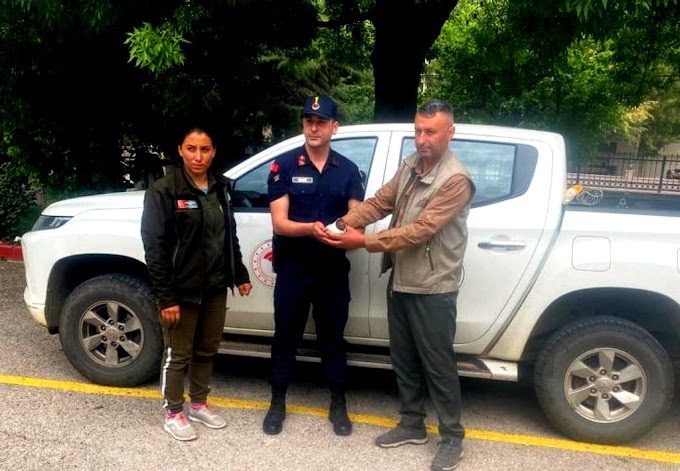 Bozkır’da Yoğun dolu yağışından zarar gören Karabaş Martısı tedavi edildi.