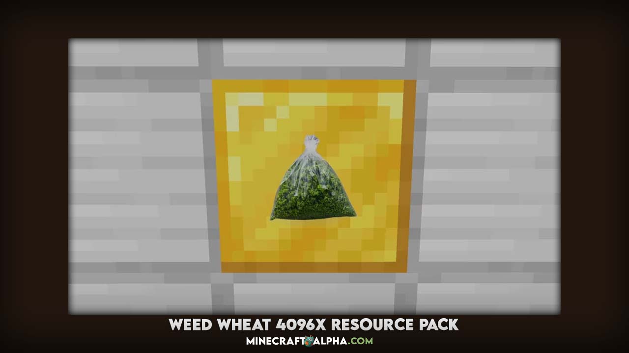 Weed Wheat 4096x Resource Pack 1.18.1, 1.17.1 (Realistic 4k HD Plants) Weed Wheat 4096x Resource Pack 1.18.1, 1.17.1 (Realistic 4k HD Plants)