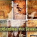 प्रागैतिहासिक चित्रकला | Paleolithic paintings in hindi | पाषाणकालीन शैल
चित्रकला | पाषाणकालीन चित्रकला का विवरण | important for upsc