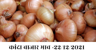 kanda bajar bhav: कांदा बाजार भाव -22/12/2021