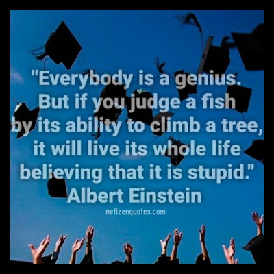 "Everybody is a genius. But if you judge a fish by its ability to climb a tree, it will live its whole life believing that it is stupid." Albert Einstein