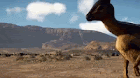 dino run