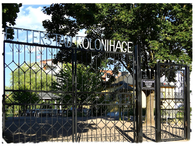 Sommerparadiset Etterstad kolonihager i Etterstadgata 18C øverst på Vålerenga i Oslo. Sommerparadiset Etterstad kolonihager i Etterstadgata 18C øverst på Vålerenga i Oslo.
