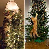 Gatos vs árboles de Navidad