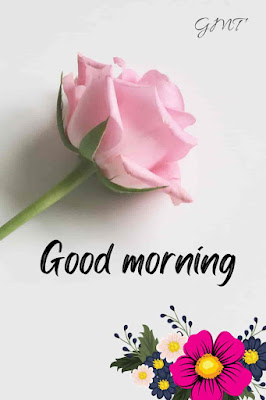 good morning tamil messages images hd