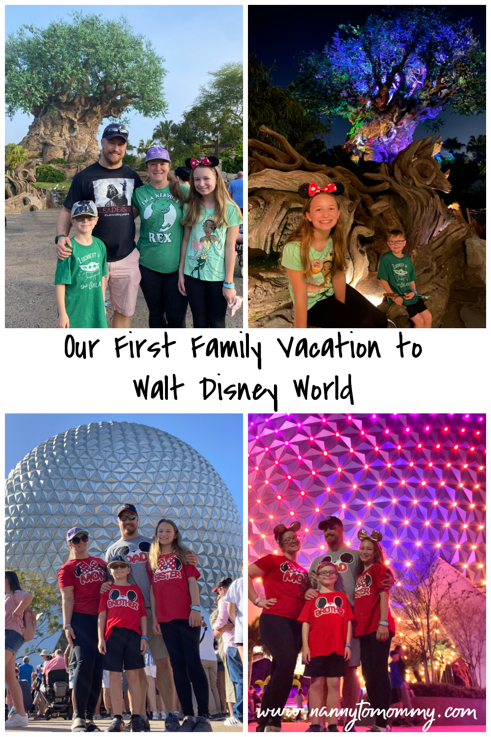 Our First Family Vacation to Walt Disney World