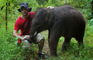 Image shows Baby elephant with Chris Kaiser in forested area