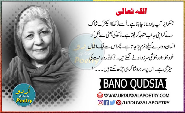 bano-qudsia-quotes-about-love