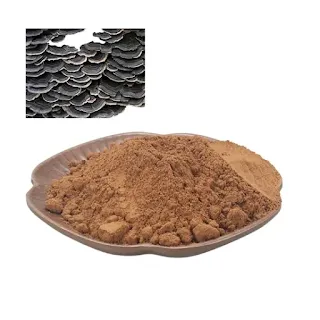 Turkey tail mushroom powder organic.